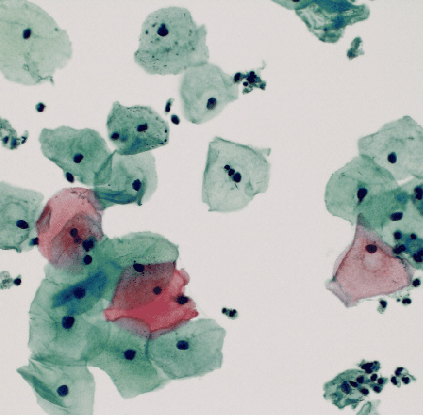 evi-reinstadler-frauenärztin