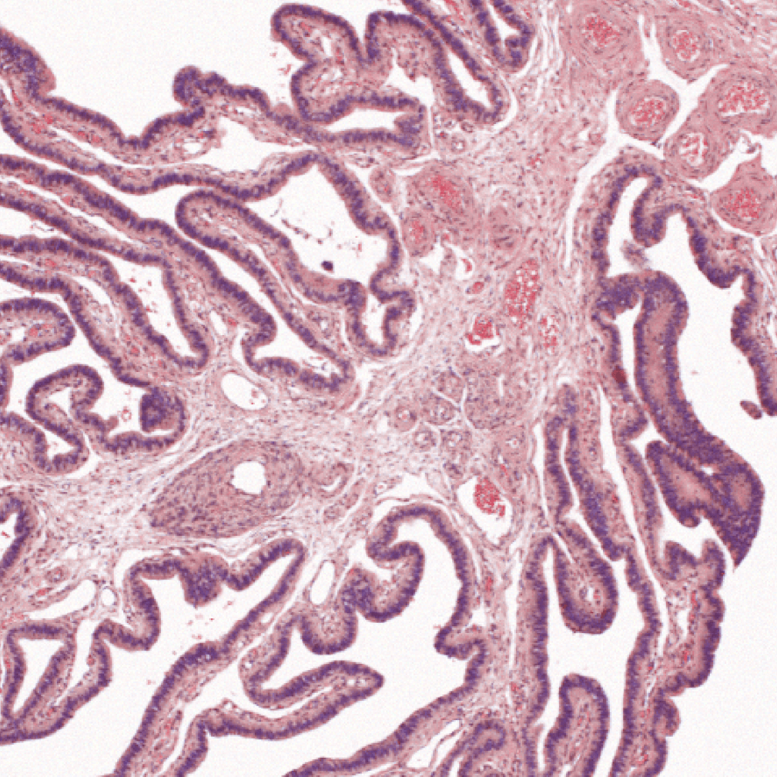 evi-reinstadler-behandlungsschwerpunkte